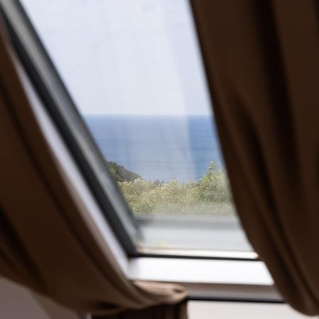 Mashtra - The Olive House Hotel Ulcinj Bagian luar foto